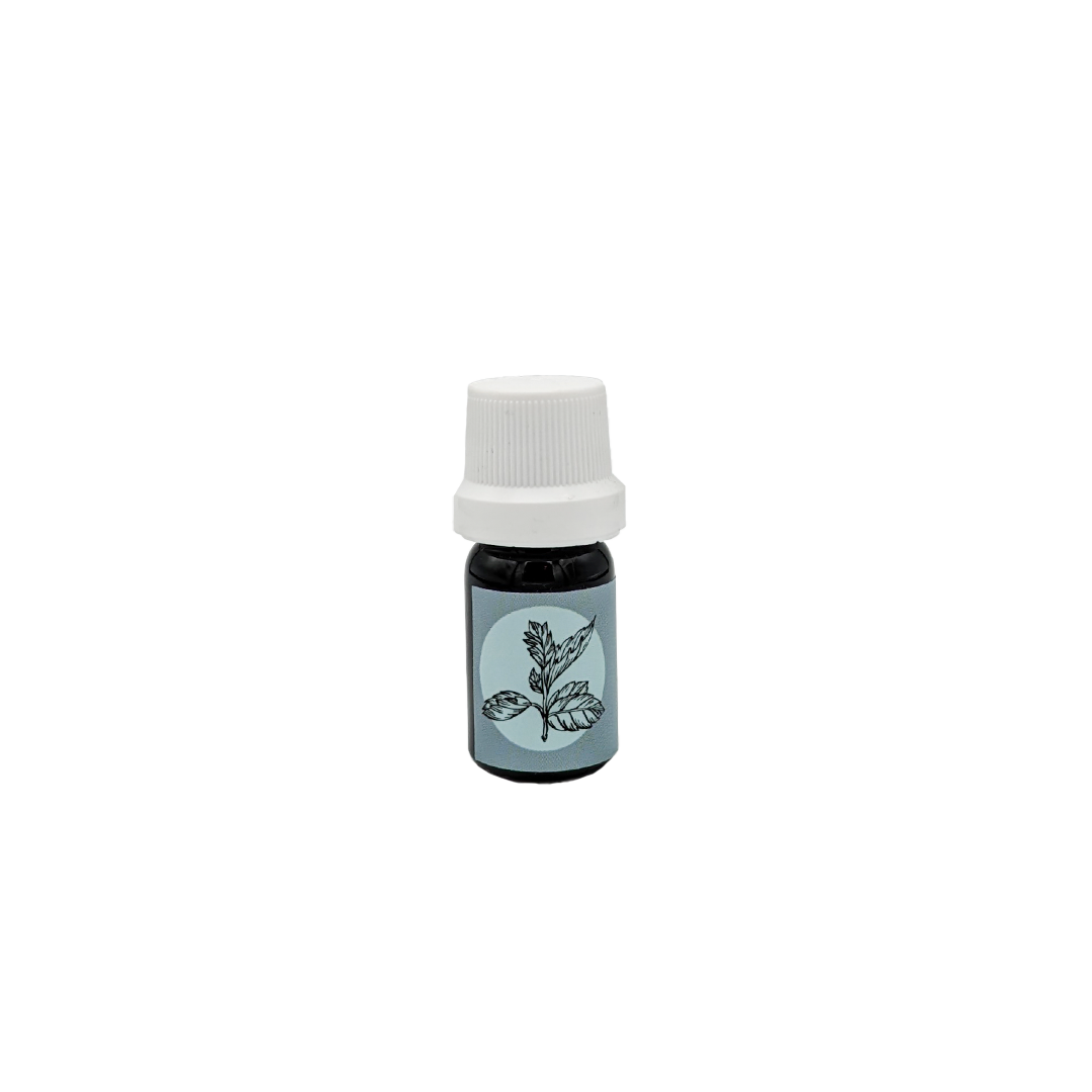 Aceite Esencial De Menta Santo Remedio 4585